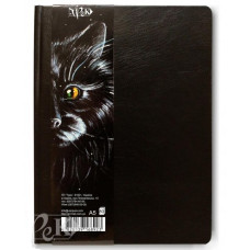 Альбом для эскизов Трек SketchBook А5 115 г 80 л по длинной стороне 